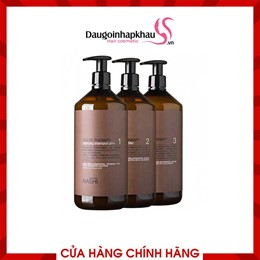 Bộ 3 Sản Phẩm Phục Hồi Tóc Hư Tổn Nặng Nashi Phyto Repair